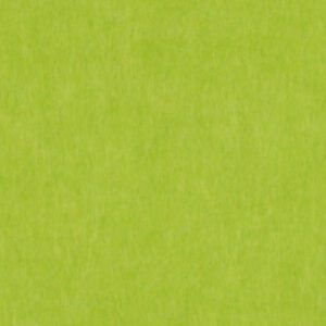 Green Apple GA41