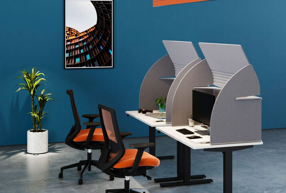 Hoody Desktop Cove