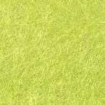 Green Apple GA41