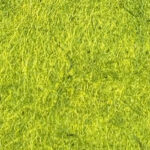 Moss Green MG10