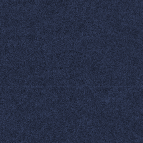 BLUEBERRY EZP-SPC016SG