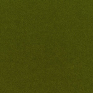 Moss Green MG10 9mm