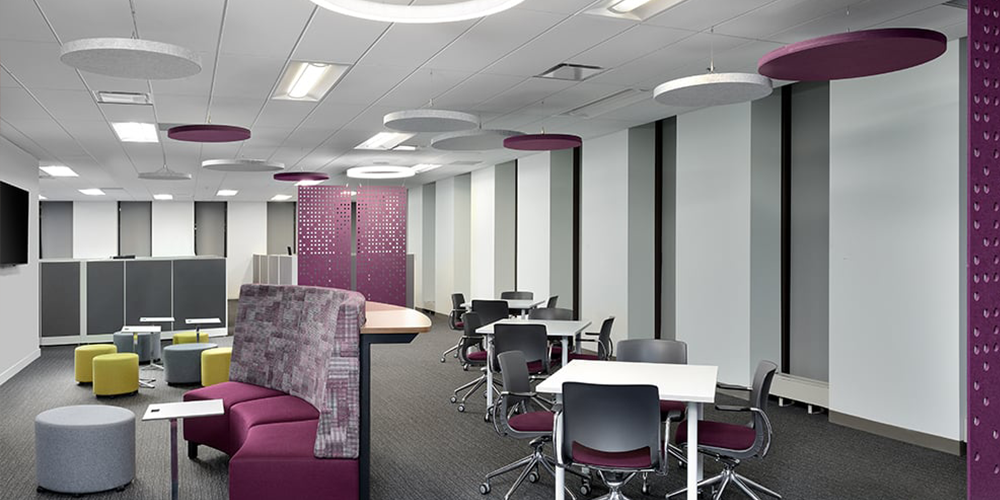 A modern office featuring purple and gray chairs beneath an acoustic ceiling, creating a stylish and functional workspace.