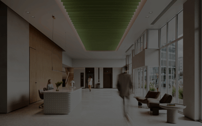 Pathway to Hearing: How We Hear and Why Acoustics Matter